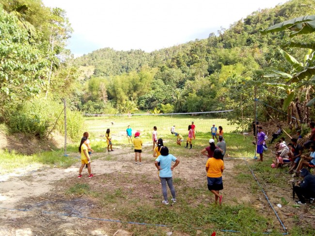 Volleyballgame