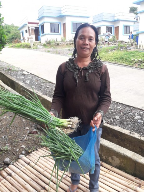 The hugest spring onions!