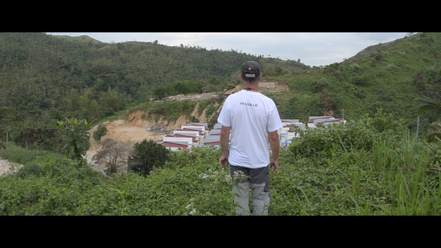 Steve Looking at site